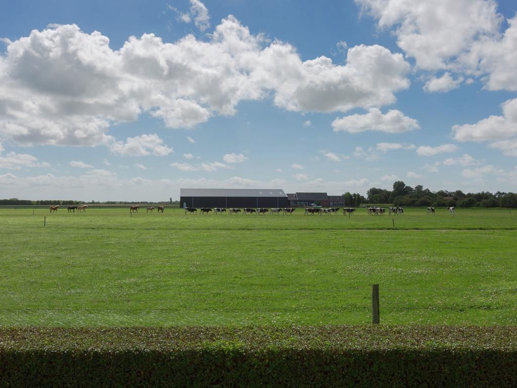 Luxury Holiday Home At The Edge Of Oostkapelle Esterno foto